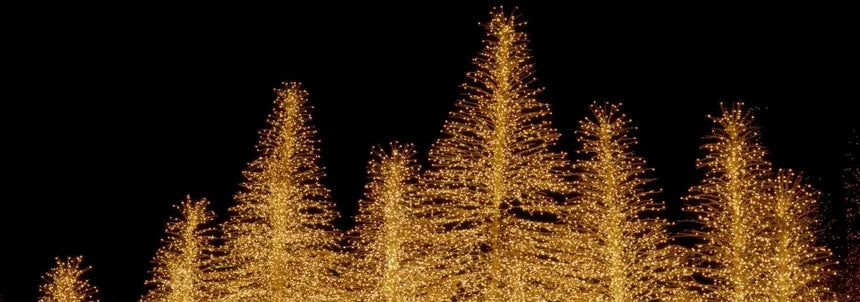 Decorative string lights shaped like trees on a dark background